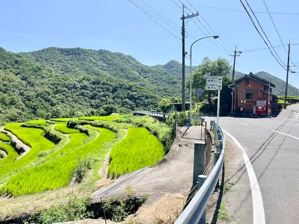 棚田とこまめ食堂