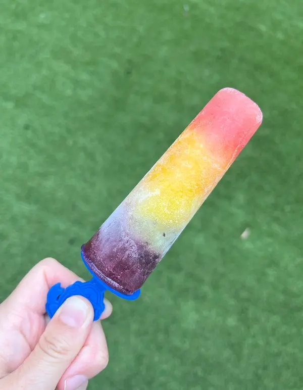 おうちでSTEAM教育〜フルーツでレインボーアイス（rainbow popsicle）を作ってみた