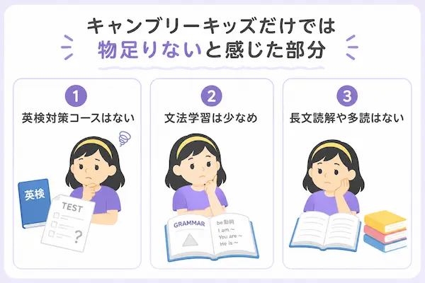 キャンブリーキッズだけでは足りないと感じた部分